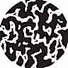 Alexandre ROY's avatar