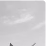 Kass Hardwyn