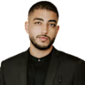 Fadi Badarni
