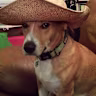 Jason Tur's avatar