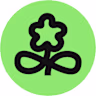 Midori design studio  