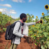 Wellington Kambirinya