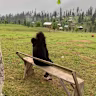 Irsa Aslam