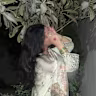 Abeeha Kashif