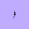 Lavenders Creative's avatar