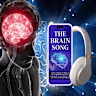 The Brain Song Official Cost