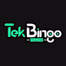 Tek Bingo  Services's avatar