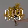 La Mimosa Studio