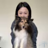 Hsin Yang