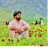 Hikmat Qumber