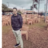 Moamen mohamed