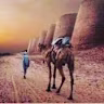 Hifza Bebo's avatar