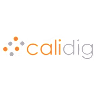 Calidig IT Solutions LLP
