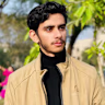 Muhammad Ansar's avatar