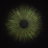 EYE DIGITAL EXPERIENCE