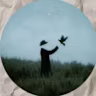 Wael Saeed's avatar