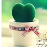 Amal noor aldin's avatar