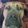 Brian  S's avatar