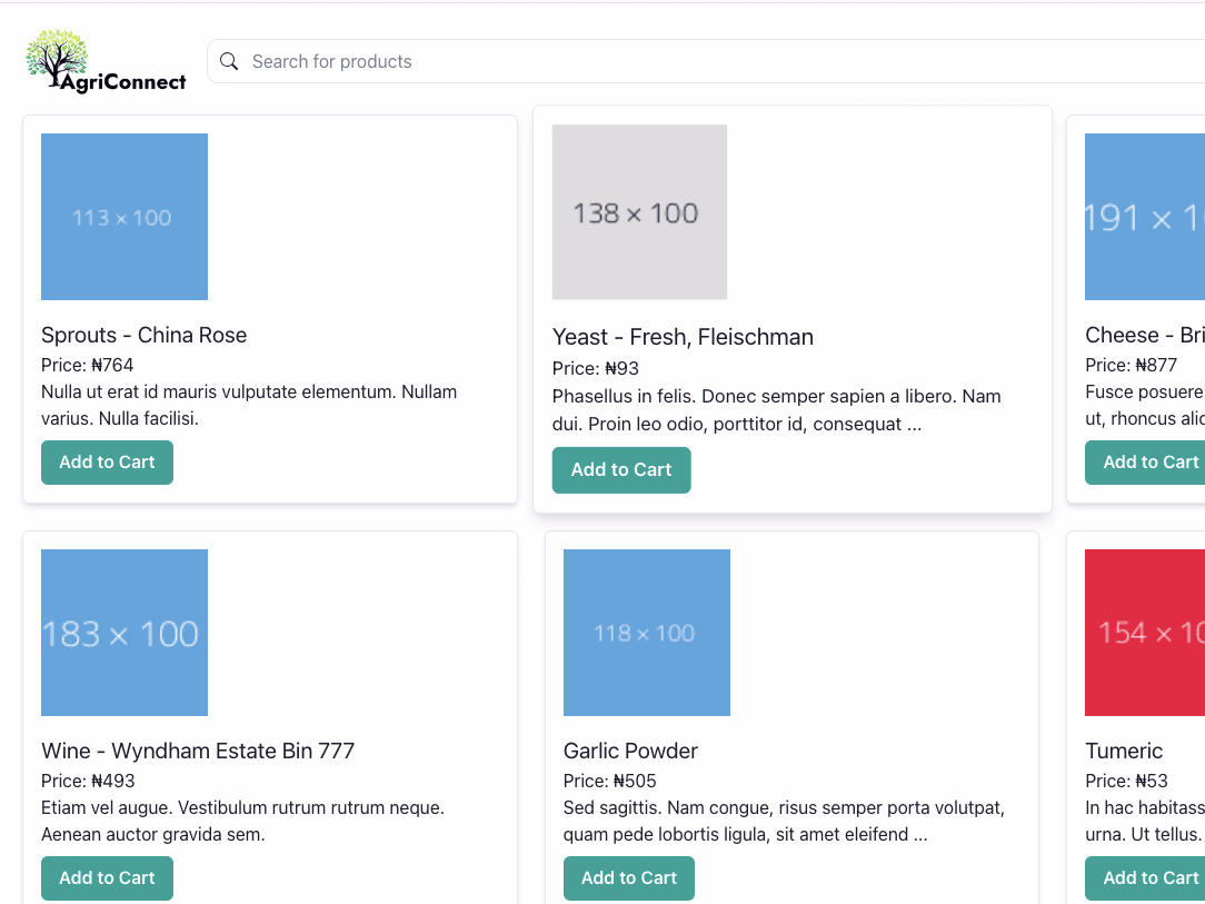 Placeholder project card media