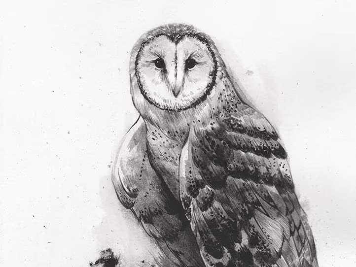 Placeholder project card media