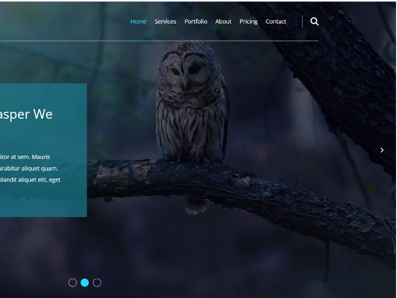 Placeholder project card media