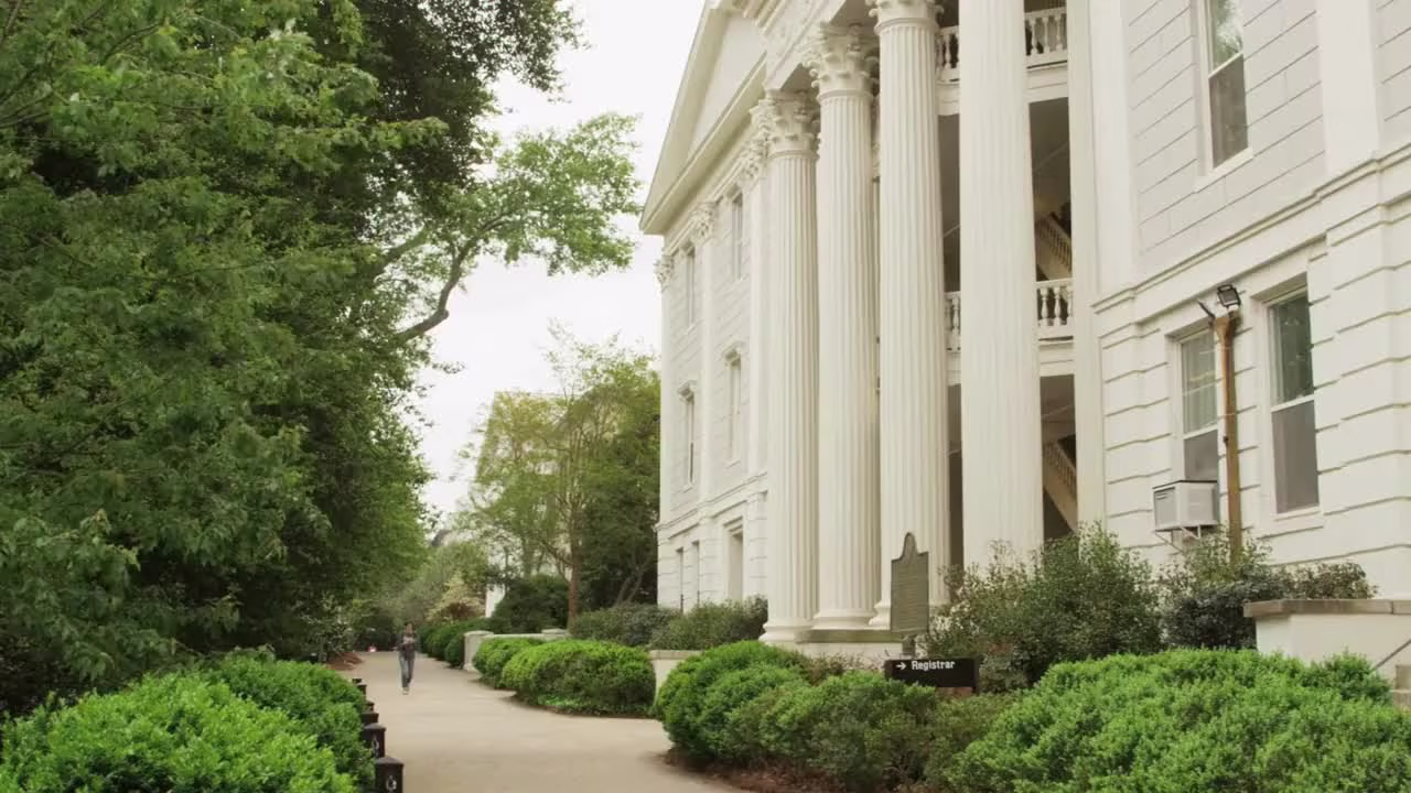 Placeholder project card media