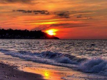 Placeholder project card media