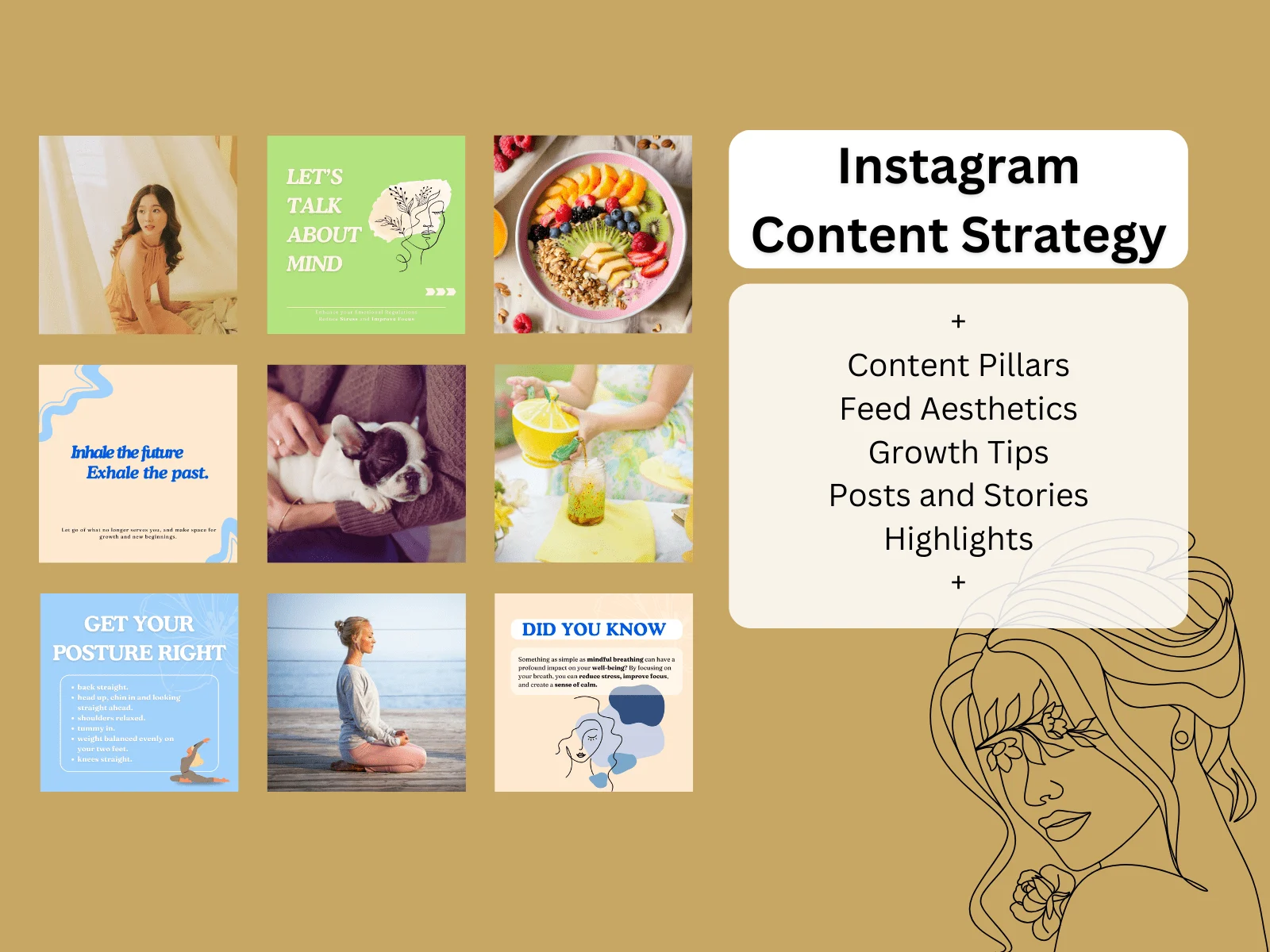 I will create your professional Instagram Content Strategy, a service by Viresh Gupta