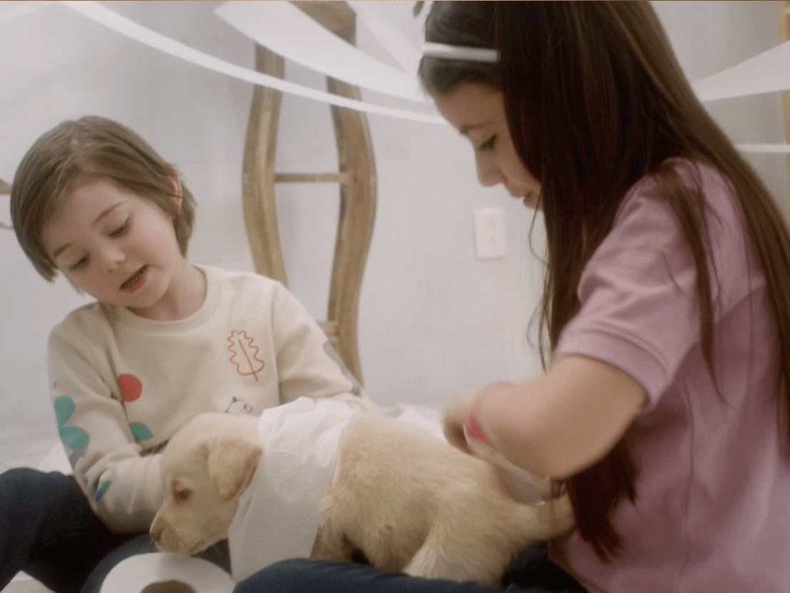 Placeholder project card media