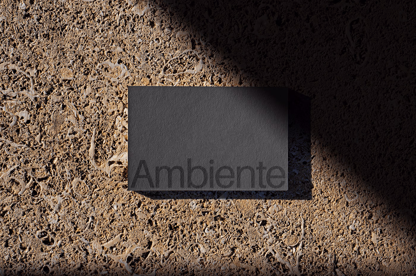 Placeholder project card media