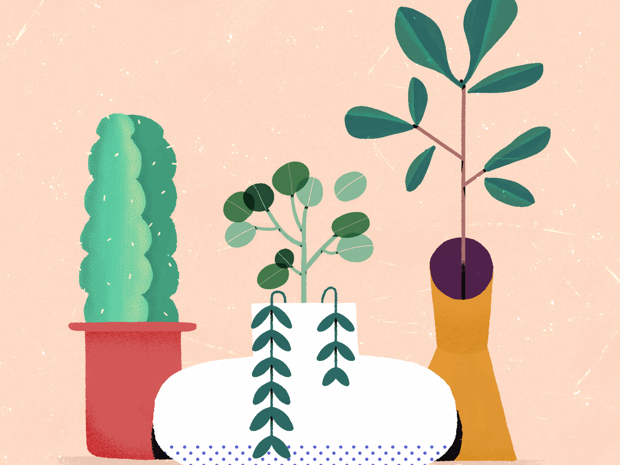 Placeholder project card media