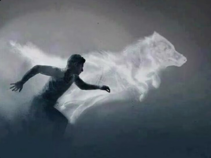 Placeholder project card media