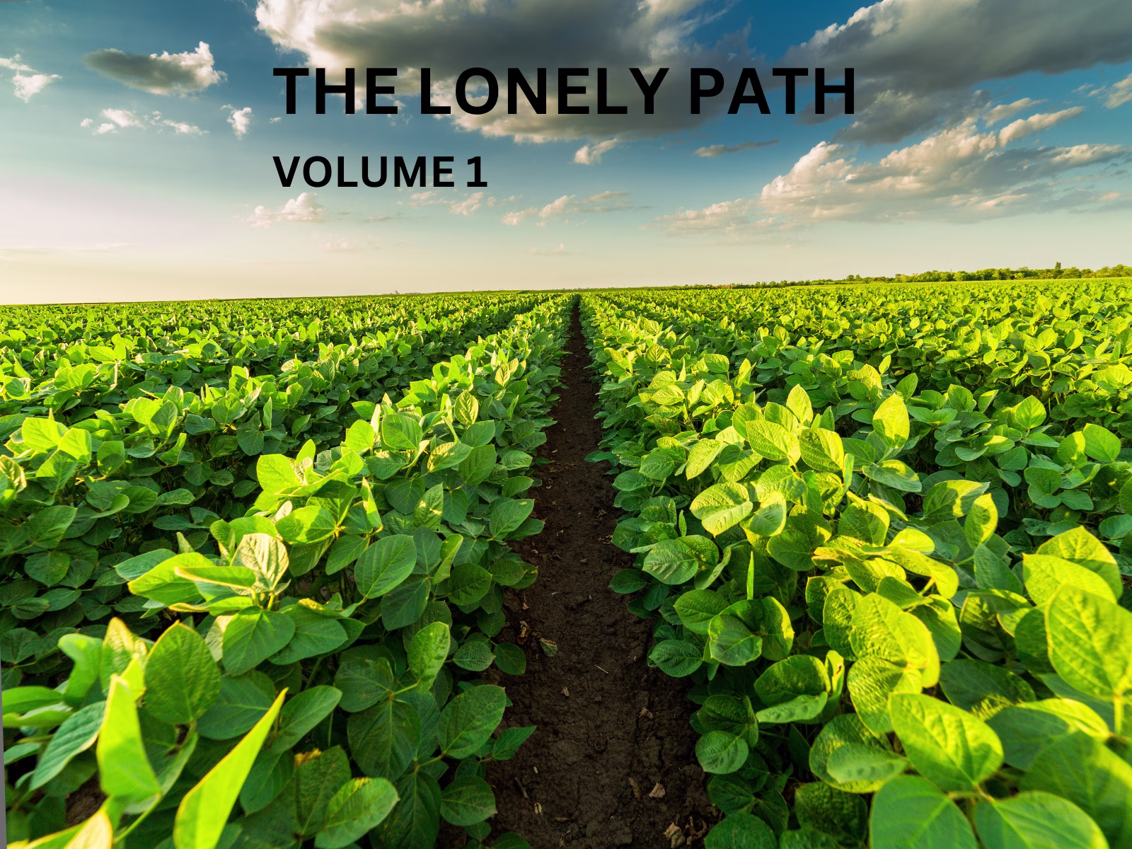 Placeholder project card media