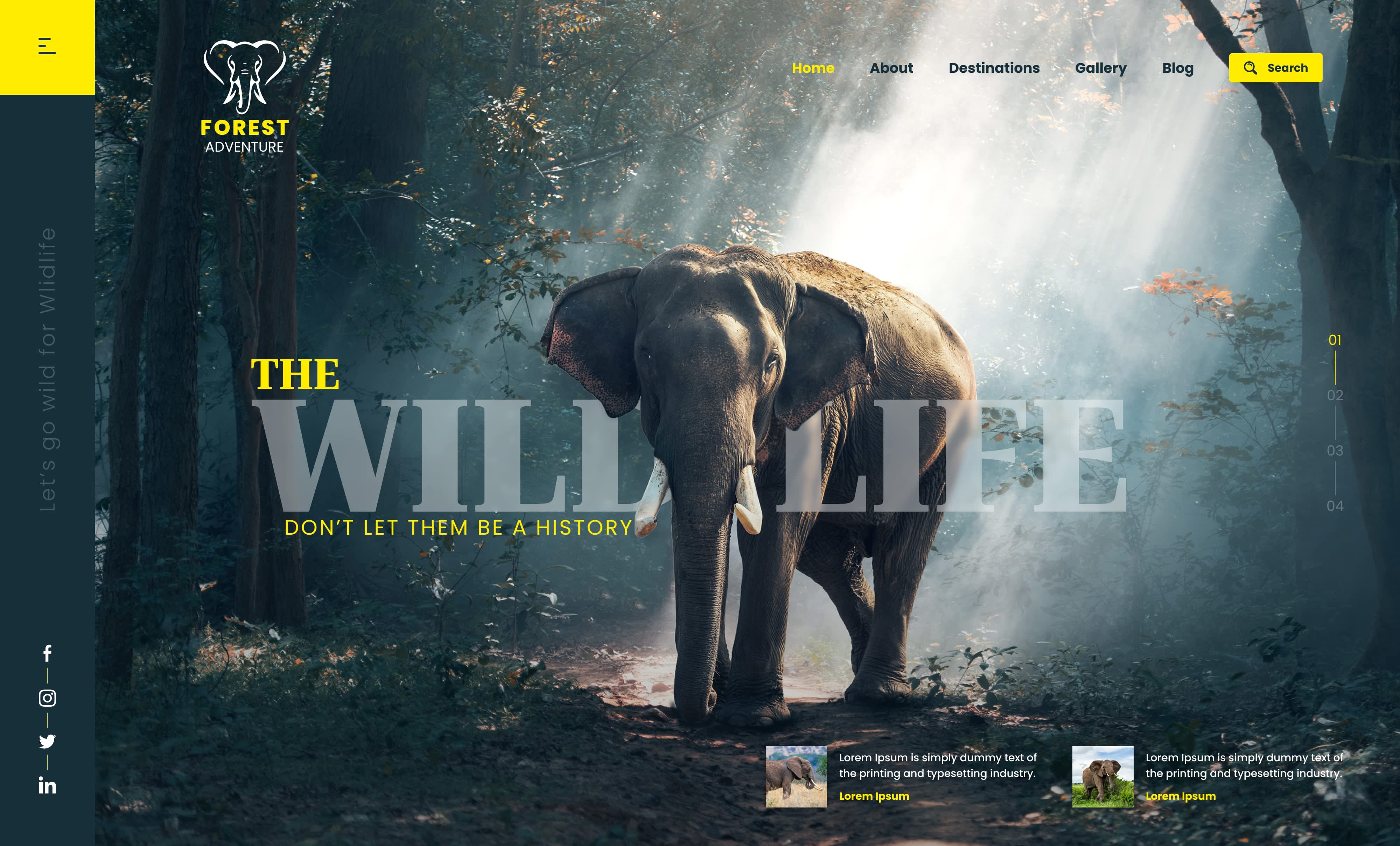 Placeholder project card media