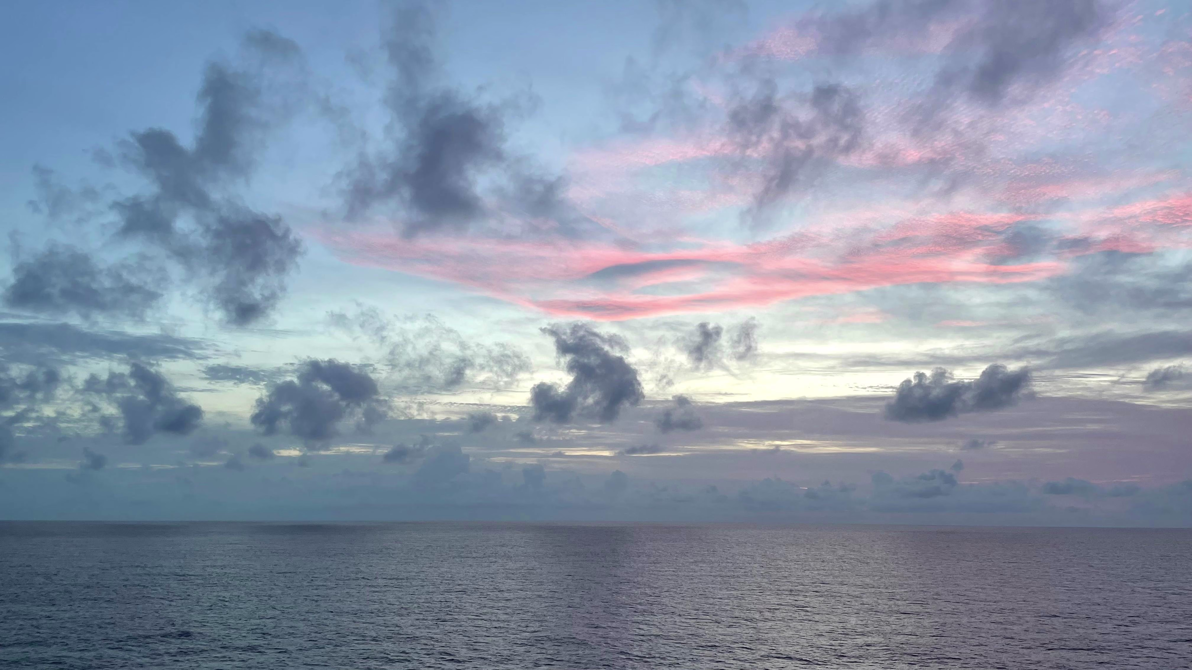 Placeholder project card media