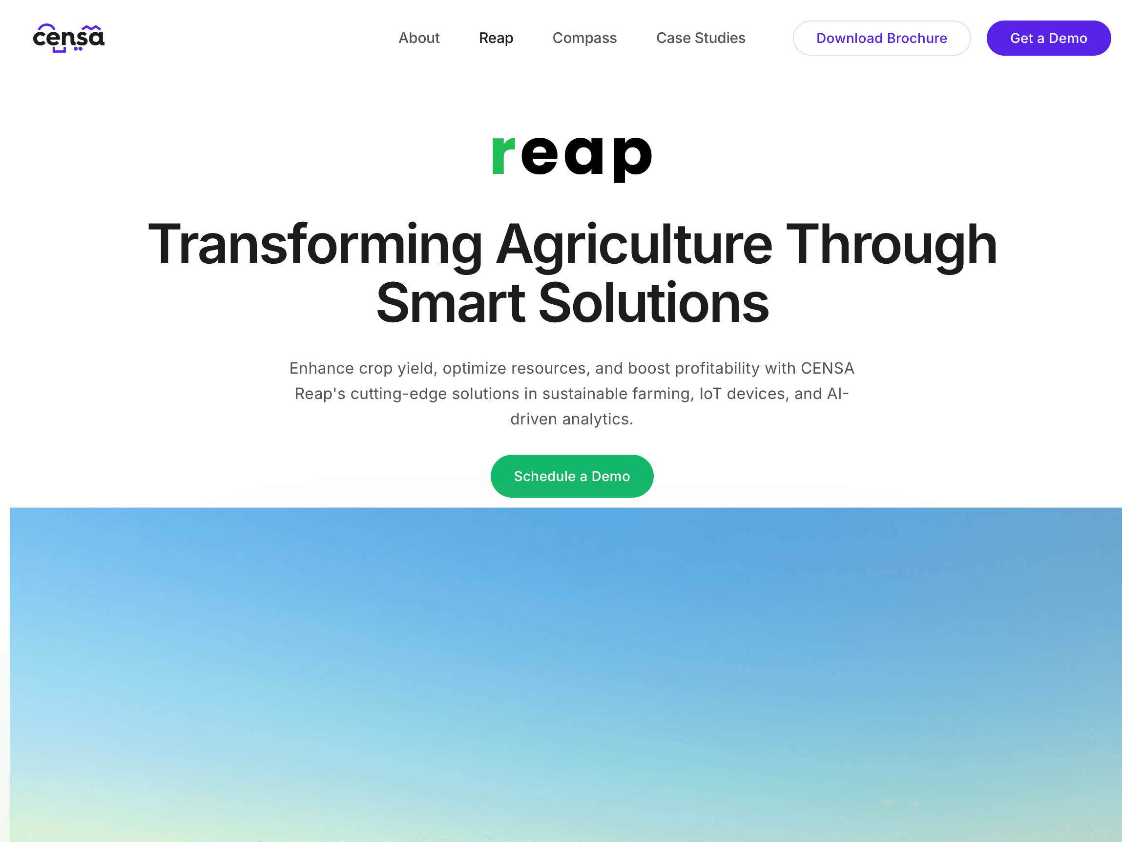 Placeholder project card media