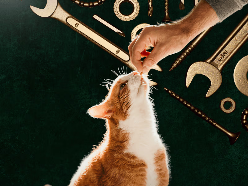 Placeholder project card media