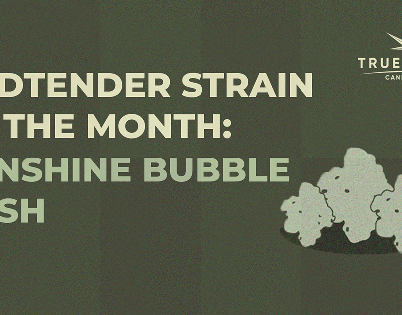 Placeholder project card media