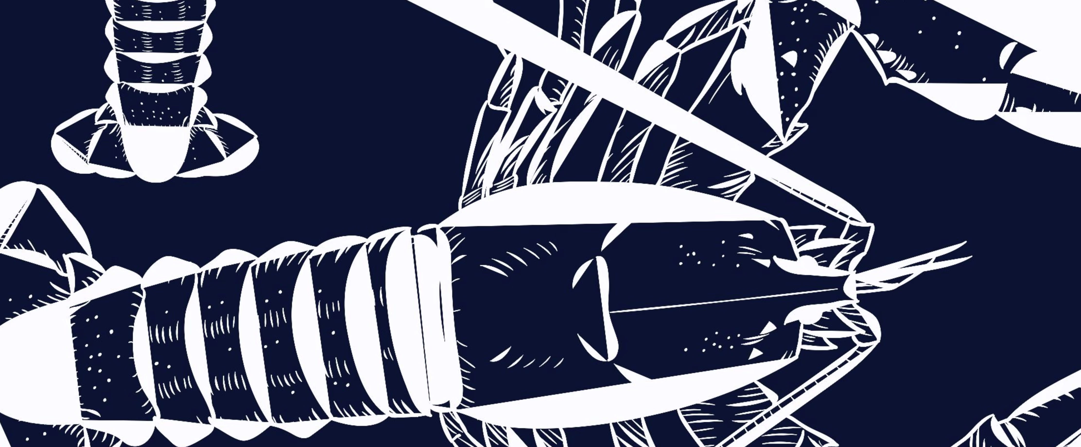 Placeholder project card media