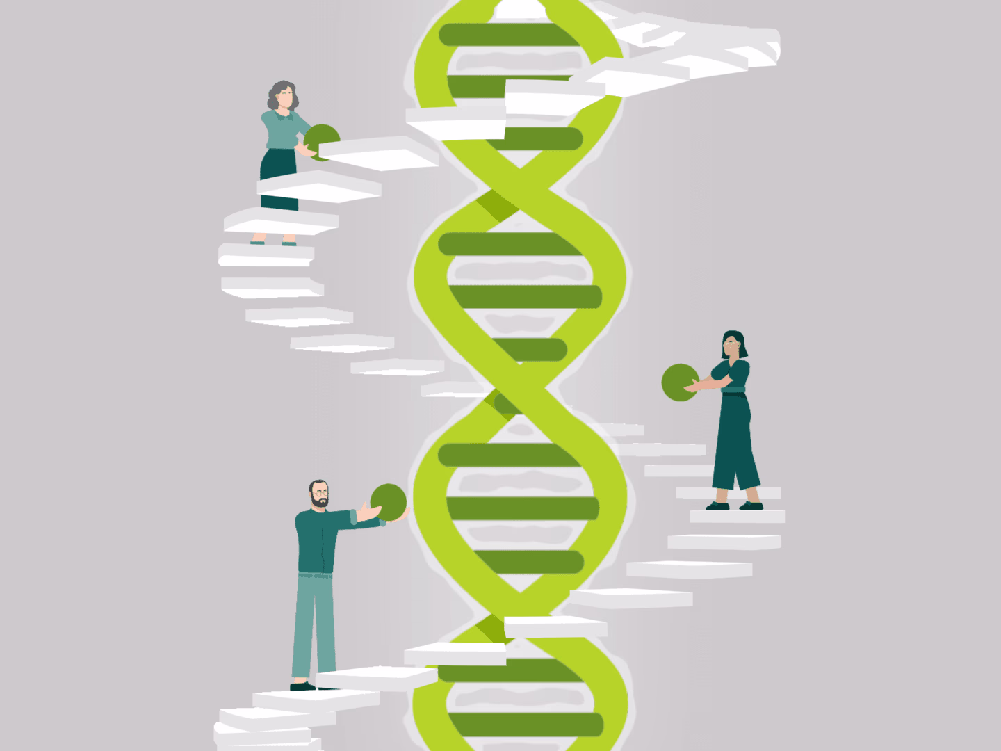 Placeholder project card media