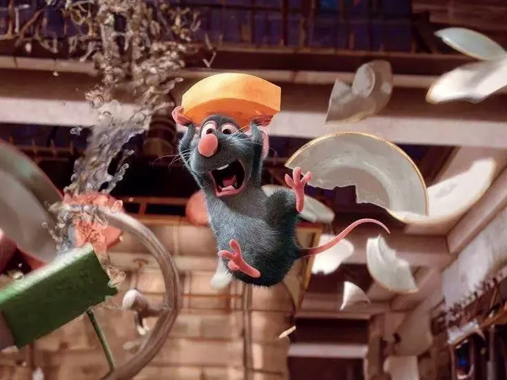 Placeholder project card media