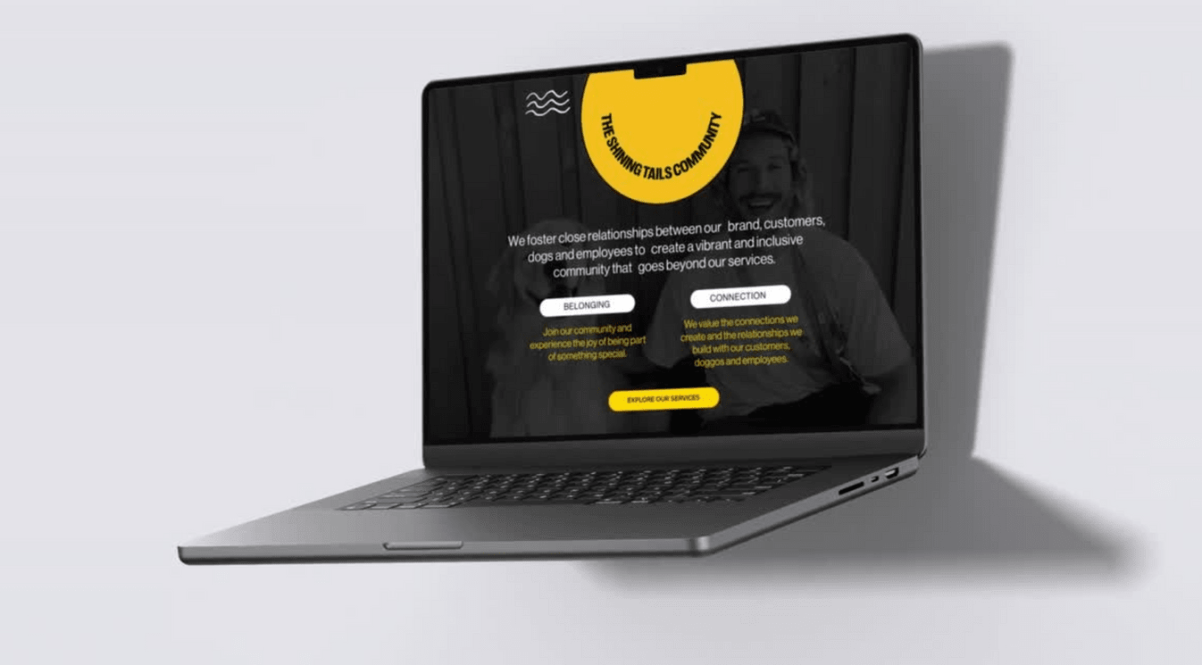 Placeholder project card media