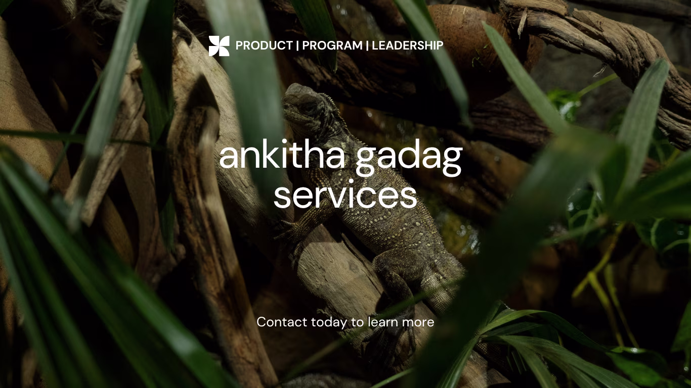 Placeholder project card media