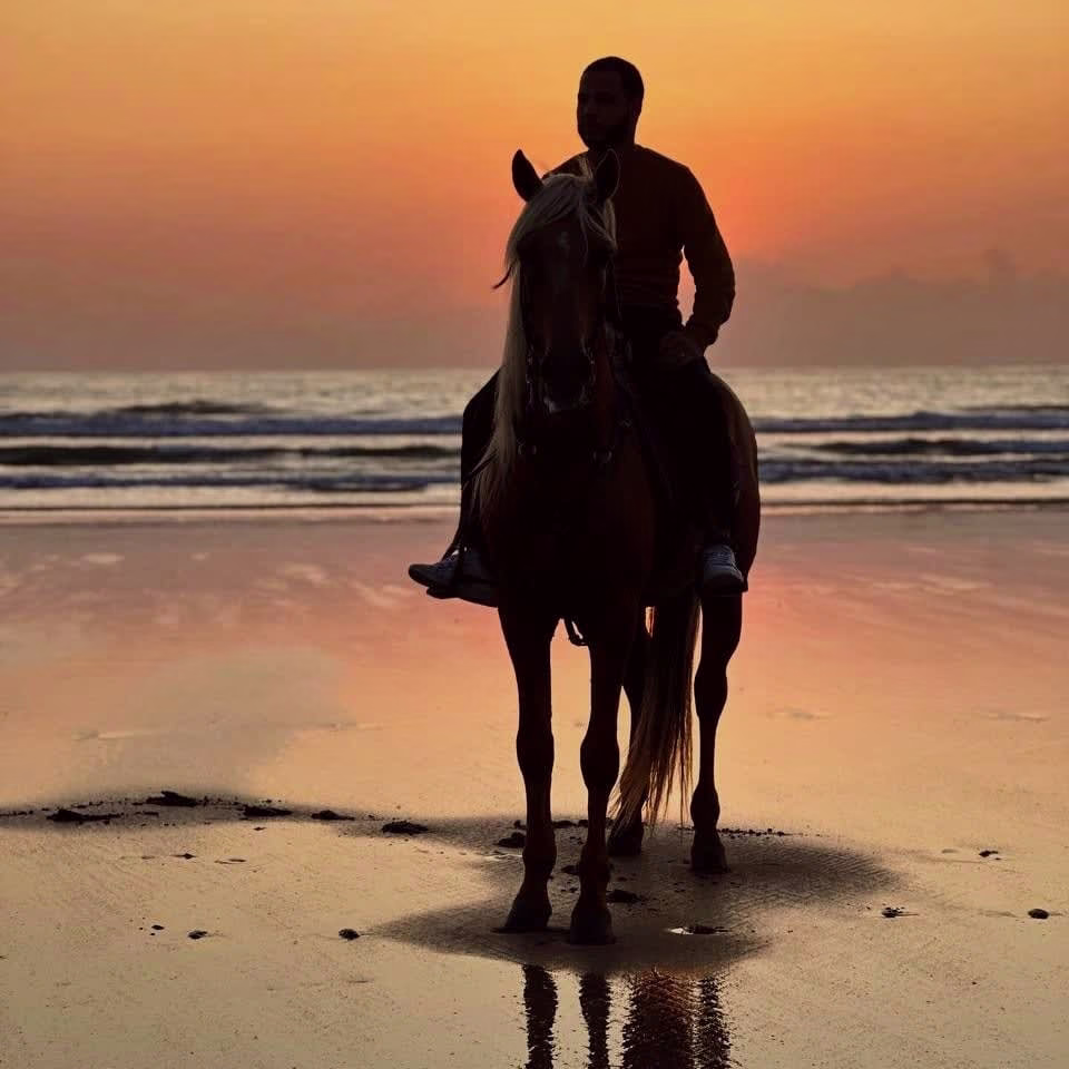 Placeholder project card media