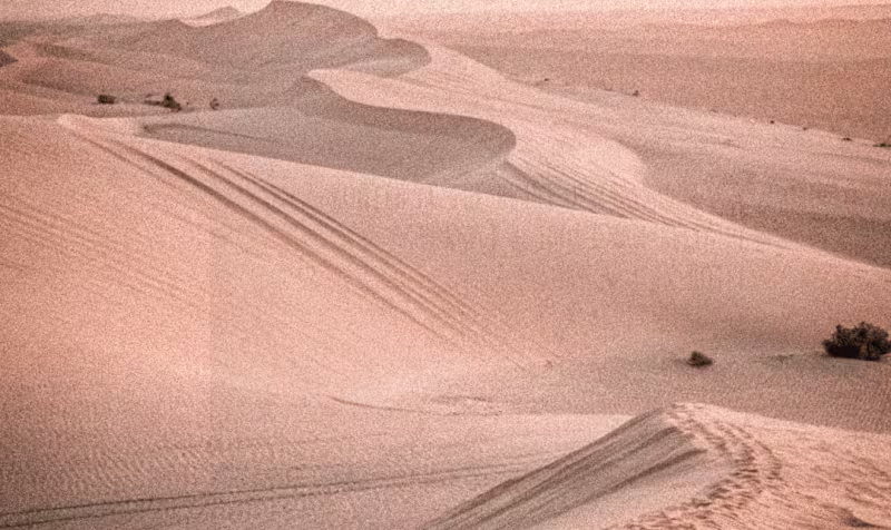 Cover image for Nomaya Surf House Website Design and Development