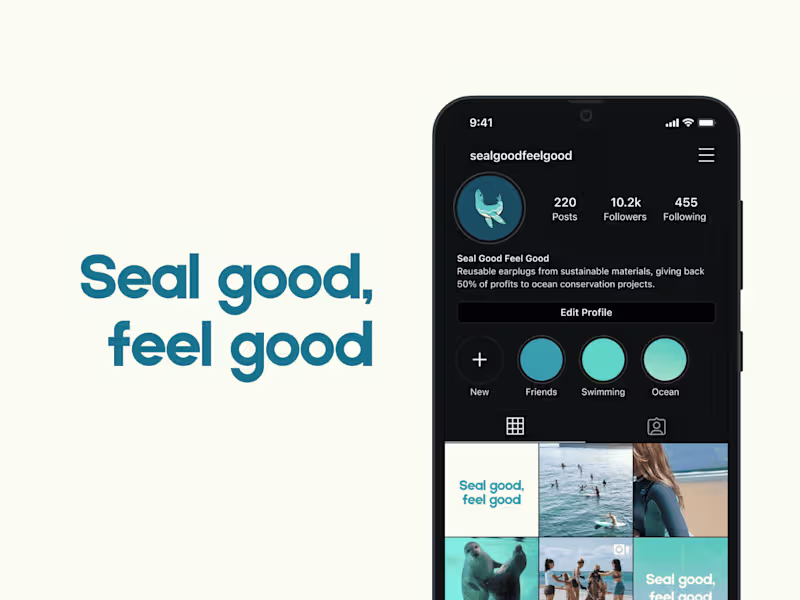 Cover image for Seals | Logo Uplift & Brand Refresh