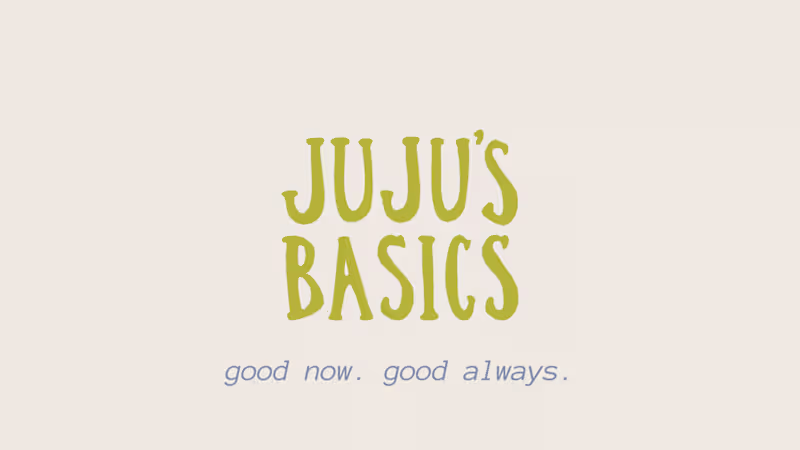 Cover image for Juju's Basics