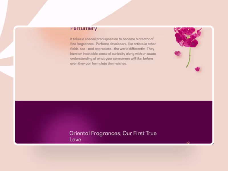 Cover image for Eurofragance: Boosting Online Presence & Bringing in Top Talent