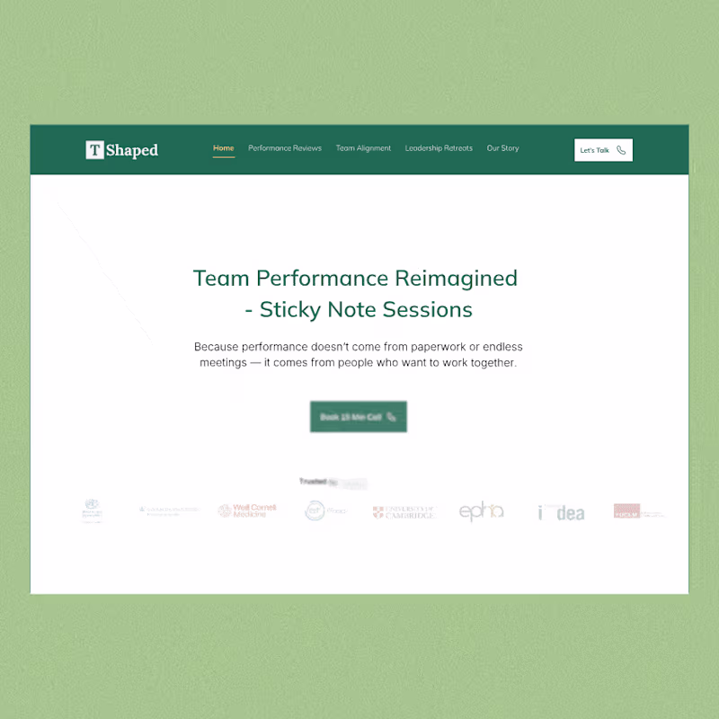 Cover image for T Shaped Reshaped Website