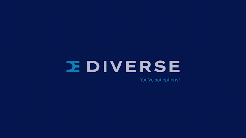 Cover image for Diverse Electronics | Visual Identity Redesign